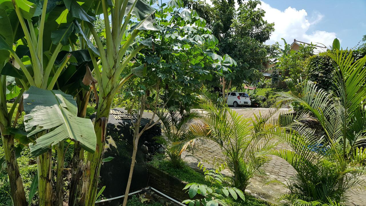 茉莉芬 卡利卡图度假村酒店 外观 照片